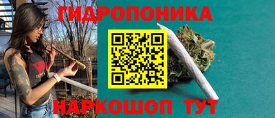 бошки Гатчина
